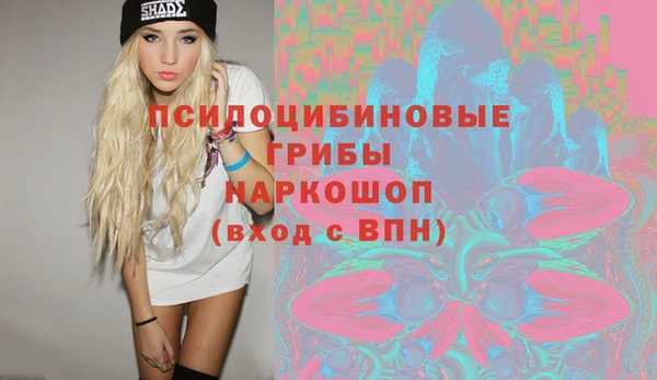 меф Богородицк