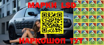 шишки Ачхой-Мартан