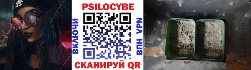 ссылка на мегу как зайти Великие Луки Псилоцибиновые грибы ЛСД
