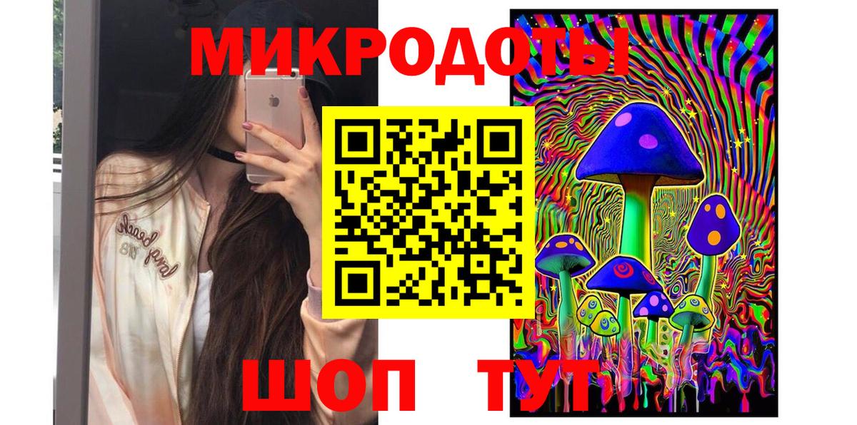Галлюциногенные грибы Psilocybe Великие Луки