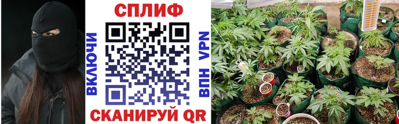 гидра ONION  Великие Луки  Марихуана White Widow 